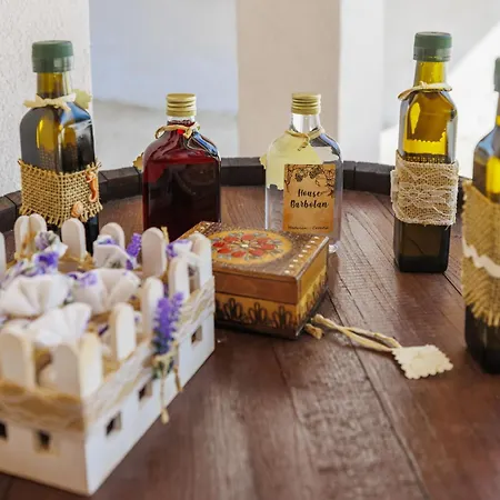 Holiday home Barbolan By Interhome *