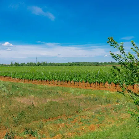 Barbolan By Interhome * メドゥリン