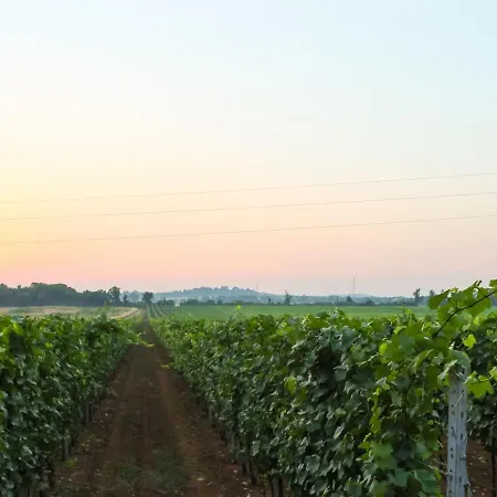 펜션 Barbolan By Interhome