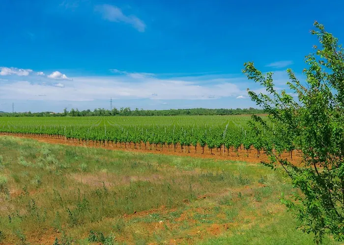 Barbolan By Interhome * Medulin