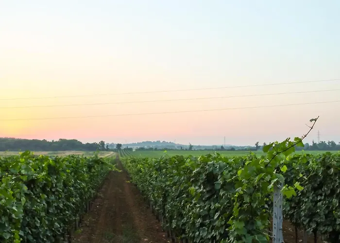 Σπίτι διακοπών Barbolan By Interhome